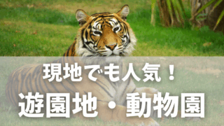 インドの遊園地＆動物園で遊ぼう！現地の家族に人気のスポット10選
